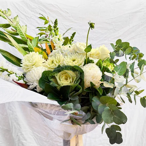 Lush Flower Co in Neutral Bay